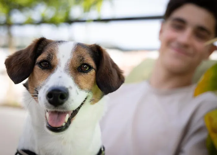 Mercure Centre Grimaldi