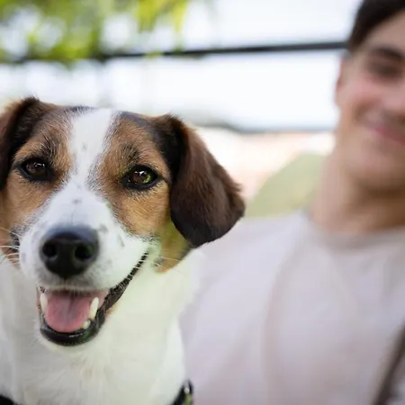 Mercure Centre Grimaldi