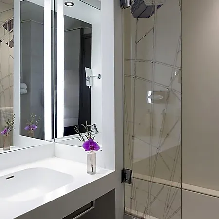 Mercure Centre Grimaldi ניס